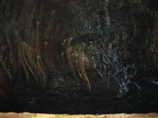 南紀　３日目　白浜泉都めぐり　三段壁洞窟