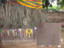 ２日目　タイ・バンコク旅行【世界遺産】アユタヤ遺跡
