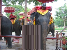 ２日目　タイ・バンコク旅行　アユタヤ　像