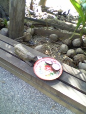 ３日目　タイ・バンコク旅行　ダムナンサドゥアクの水上マーケット