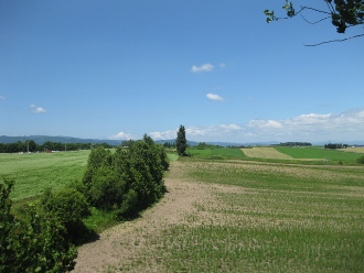 美瑛　「ぜるぶの丘」