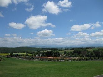 美瑛　「ぜるぶの丘」