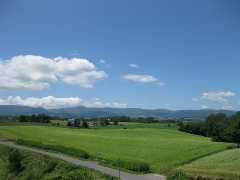 美瑛　「北西の丘展望公園」