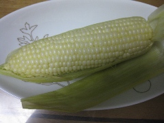 フラノマルシェ　ピュアホワイト