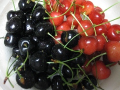 日の出（黒いさくらんぼ）・平和錦