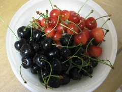 日の出（黒いさくらんぼ）・平和錦