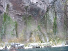 道東みどころ大満喫！知床・知床遊覧船　3