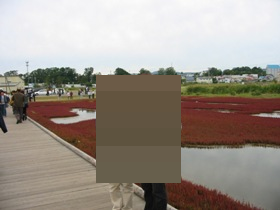 道東みどころ大満喫！能取湖サンゴ草