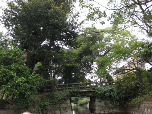 九州旅行　水郷柳川舟めぐり　4