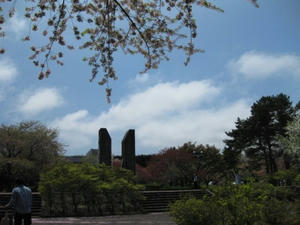 2013.05.26　『道の駅　ＹＯＵ・遊・もり』オニウシ公園　桜