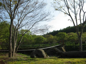 上の湯温泉『温泉旅館銀婚湯』野天風呂巡り　吊り橋