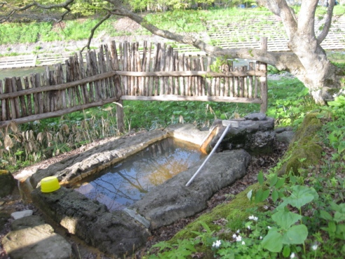 上の湯温泉『温泉旅館銀婚湯』野天風呂「もみじの湯」