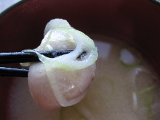 『うろこ亭』タチかまの味噌汁