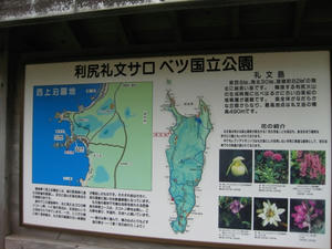 礼文島　澄海岬（スカイ岬