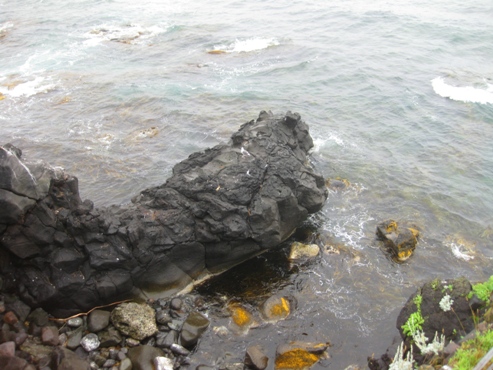 利尻島　寝熊の岩