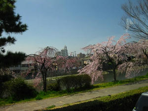 京都市内　鴨川通り