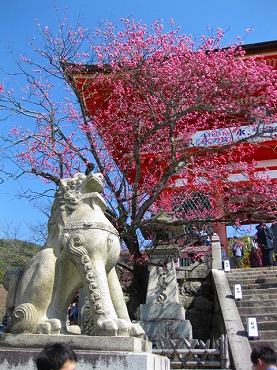 京都　清水寺／仁王門前の狛犬