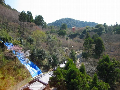 京都　清水の舞台から見る眺め