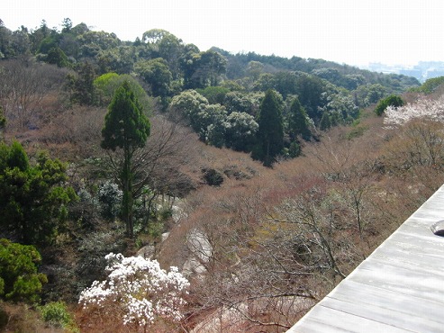 京都　清水の舞台から見る眺め