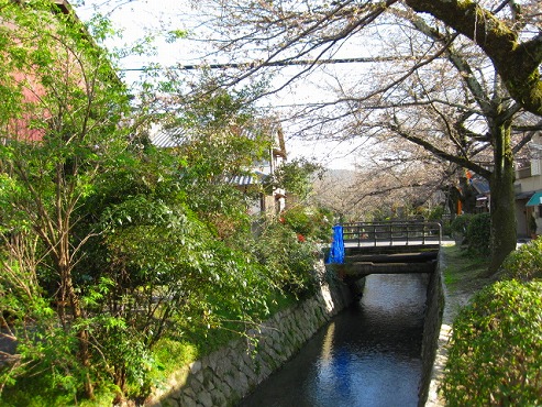 京都　哲学の道