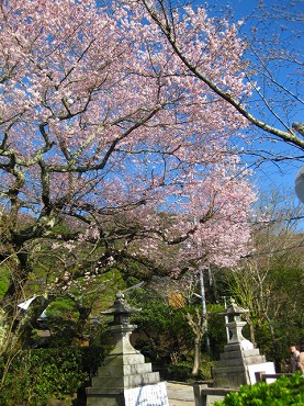 京都　哲学の道