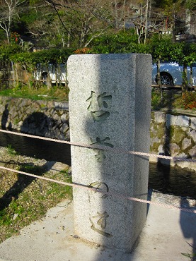 京都　哲学の道に咲く桜