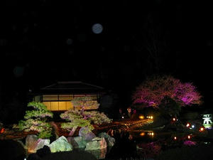 京都　二条城ライトアップ