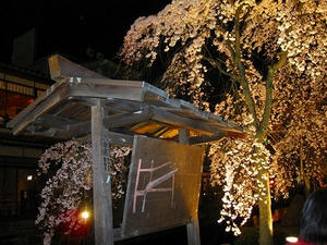 京都　祇園　白川南通り　ライトアップ