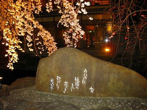 京都　祇園　白川南通り　ライトアップ