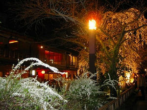 京都　祇園　白川南通り　ライトアップ