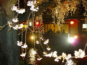 京都　祇園　白川南通り　ライトアップ
