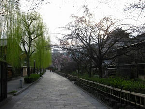京都　祇園　白川南通り