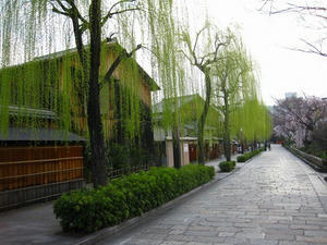 京都　祇園　白川南通り