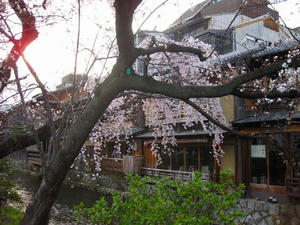 京都　祇園　白川南通り