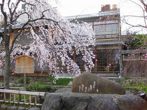 京都　祇園　白川南通り