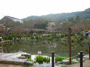 京都　円山公園