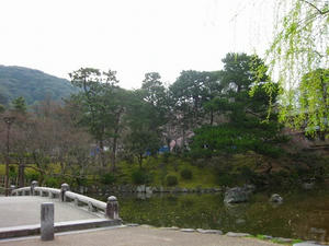 京都　円山公園