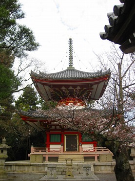 京都　知恩院／多宝塔