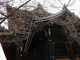 京都　知恩院