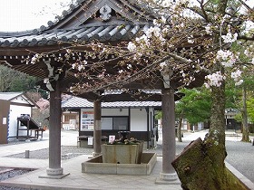 京都　知恩院