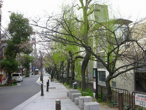 京都　木屋町通り