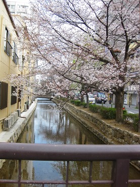 京都　木屋町通り