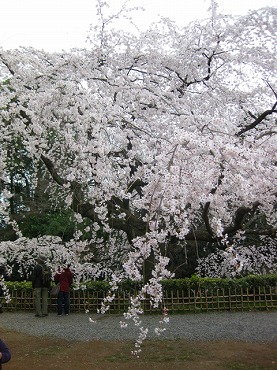 京都　京都御所