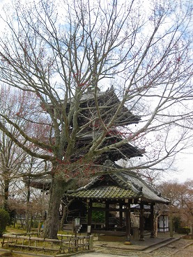 京都　真如堂／三重塔