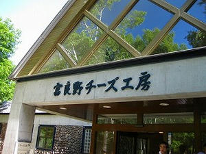 18富良野チーズ工房