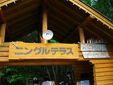 富良野　ニングルテラス