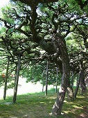 四国旅行／栗林公園