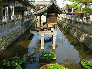 四国旅行／善通寺