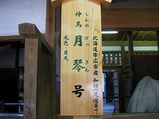 四国旅行／金刀比羅宮　参拝
