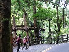 四国旅行／祖谷渓・かずら橋